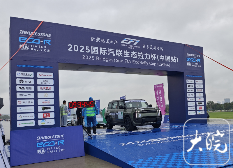 新能源汽车, 欧洲站点, 去年才进入