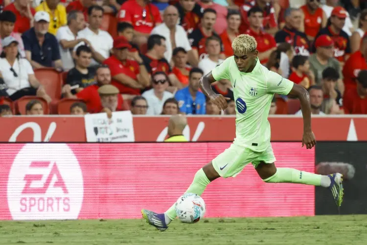 起自己与弗 起自己与弗